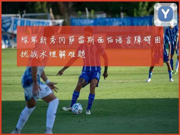 绿军新秀冈萨雷斯面临语言障碍困扰战术理解难题