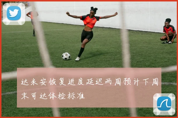 达米安恢复进度延迟两周预计下周末可达体检标准